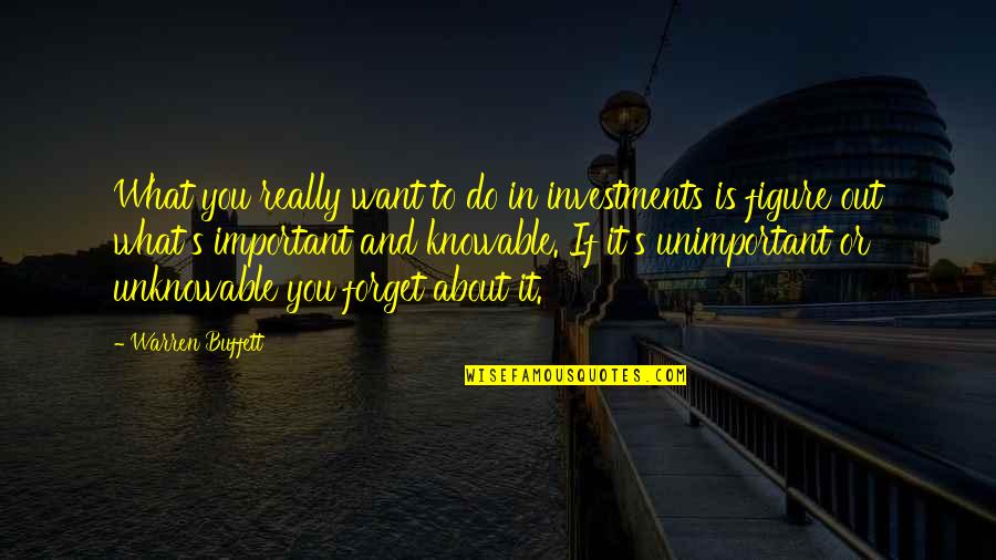 Figure You Out Quotes By Warren Buffett: What you really want to do in investments