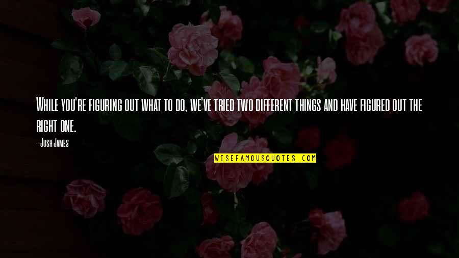 Figuring Out What To Do Quotes By Josh James: While you're figuring out what to do, we've