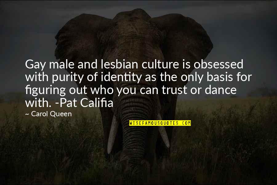 Figuring Out Who You Are Quotes By Carol Queen: Gay male and lesbian culture is obsessed with
