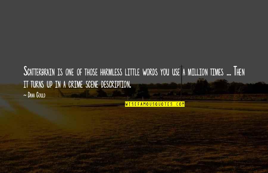 Figyelmet Felh V Quotes By Dana Gould: Scatterbrain is one of those harmless little words Figyelmet Felh V Quotes By Dana Gould: Scatterbrain is one of those harmless little words