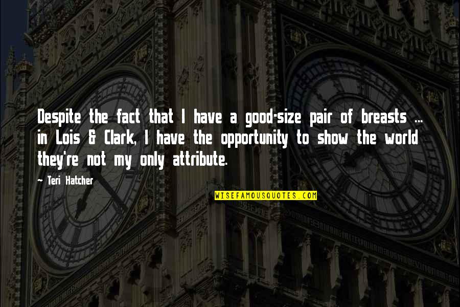 Fijn Weekend Quotes By Teri Hatcher: Despite the fact that I have a good-size