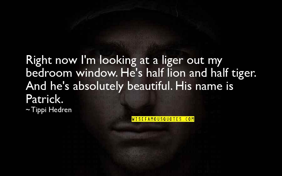 Fikriye Gokce Quotes By Tippi Hedren: Right now I'm looking at a liger out Fikriye Gokce Quotes By Tippi Hedren: Right now I'm looking at a liger out