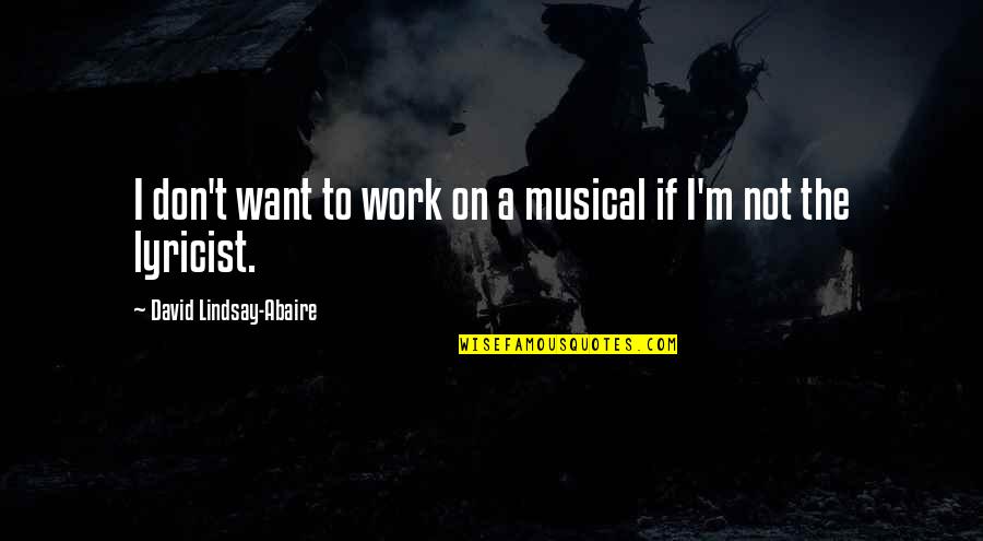 Filho Do Zua Quotes By David Lindsay-Abaire: I don't want to work on a musical