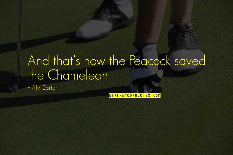 Filipino Chicken Fights Quotes By Ally Carter: And that's how the Peacock saved the Chameleon Filipino Chicken Fights Quotes By Ally Carter: And that's how the Peacock saved the Chameleon