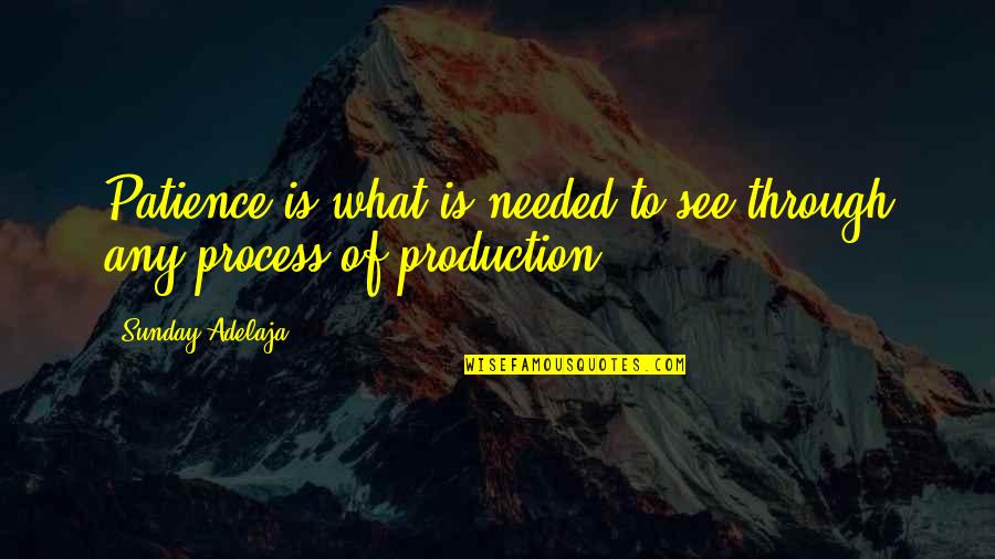 Filipino Family Values Quotes By Sunday Adelaja: Patience is what is needed to see through