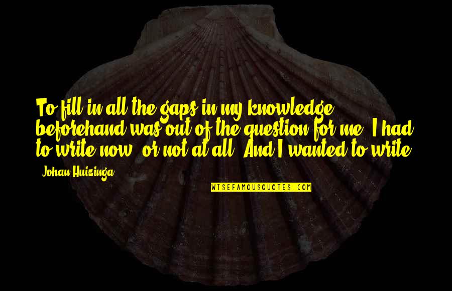 Fill In The Gaps Quotes By Johan Huizinga: To fill in all the gaps in my