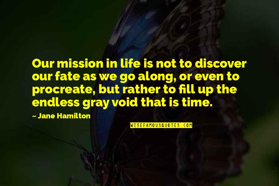 Fill In The Void Quotes By Jane Hamilton: Our mission in life is not to discover