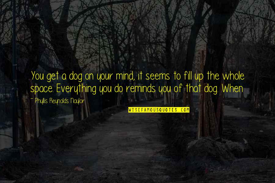 Fill Up Quotes By Phyllis Reynolds Naylor: You get a dog on your mind, it