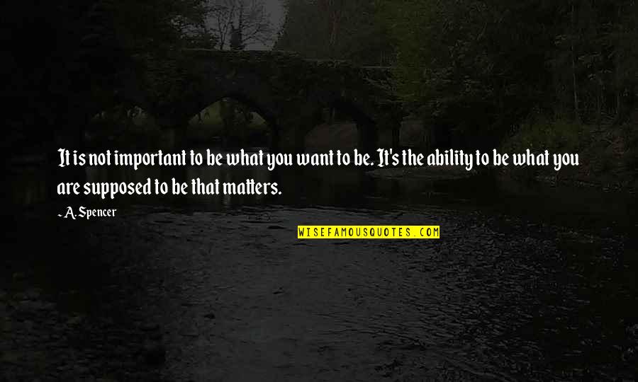 Fillery Weed Quotes By A. Spencer: It is not important to be what you