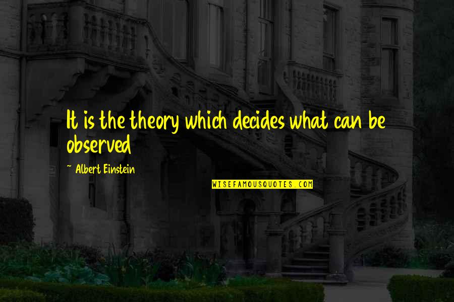 Fillery Weed Quotes By Albert Einstein: It is the theory which decides what can