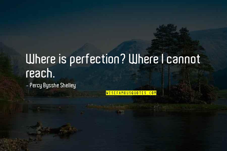Filling Buckets Quotes By Percy Bysshe Shelley: Where is perfection? Where I cannot reach.