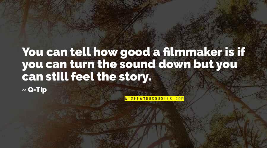Filmmaker Story Quotes By Q-Tip: You can tell how good a filmmaker is