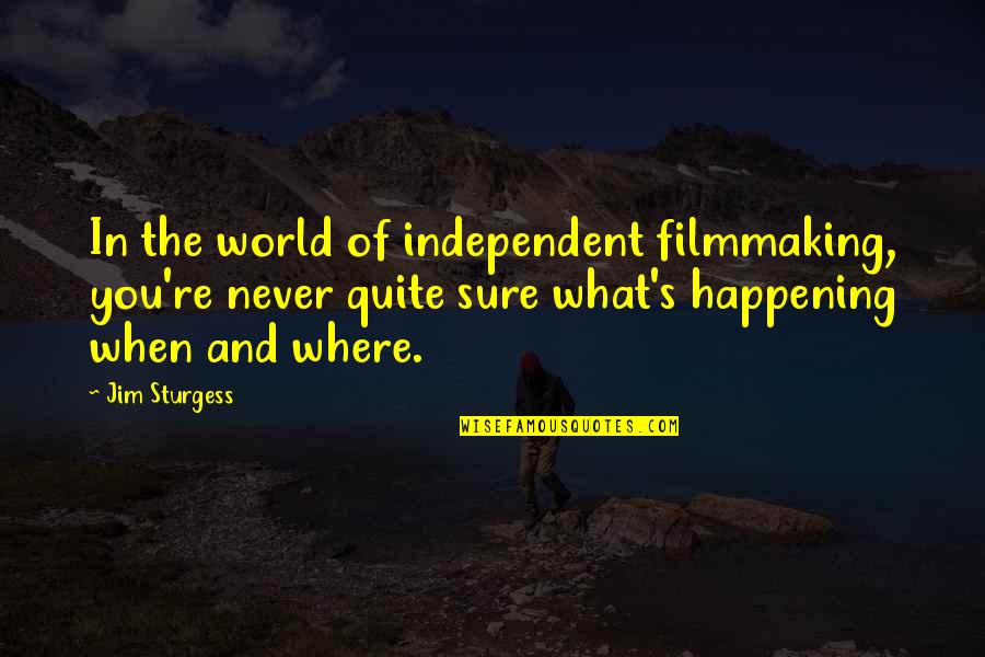 Filmmaking Quotes By Jim Sturgess: In the world of independent filmmaking, you're never