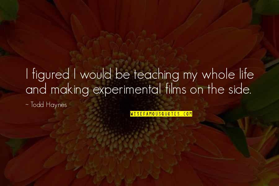 Films And Life Quotes By Todd Haynes: I figured I would be teaching my whole