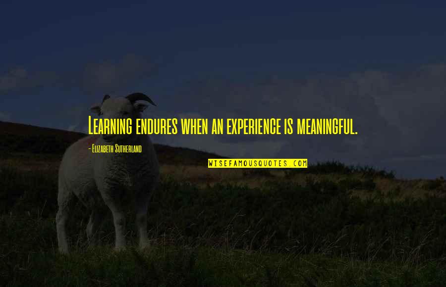 Filth Tapeworm Quotes By Elizabeth Sutherland: Learning endures when an experience is meaningful.