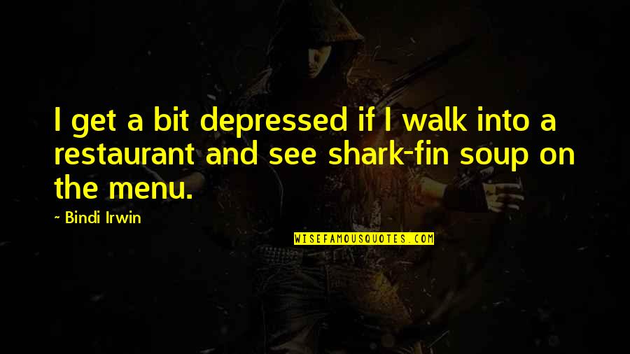 Fin Quotes By Bindi Irwin: I get a bit depressed if I walk