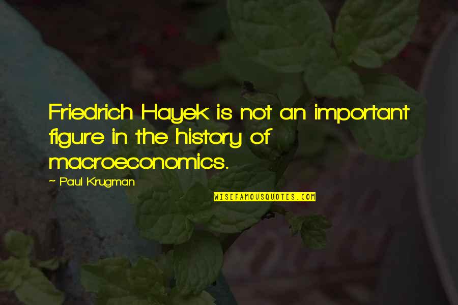 Final Days Quotes By Paul Krugman: Friedrich Hayek is not an important figure in
