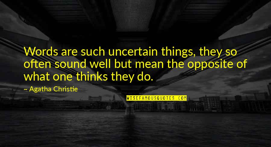 Final Fantasy Vii Sephiroth Quotes By Agatha Christie: Words are such uncertain things, they so often