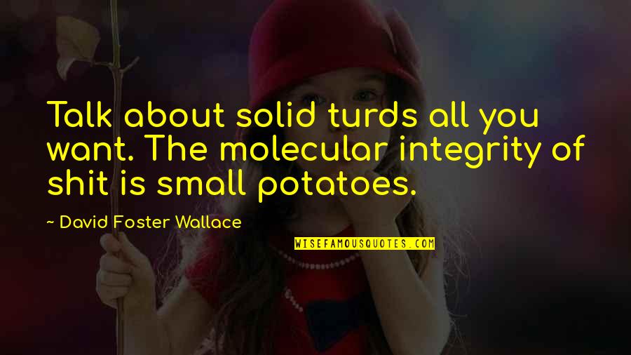 Final Year Exams Quotes By David Foster Wallace: Talk about solid turds all you want. The