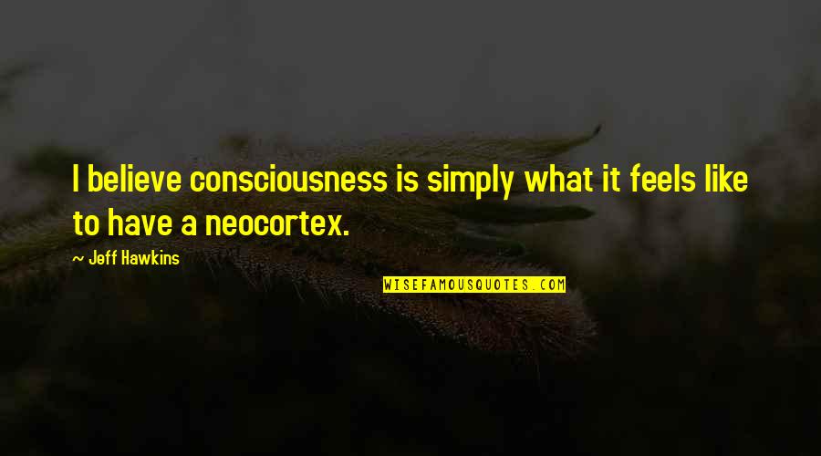 Finally Finding A Good Guy Quotes By Jeff Hawkins: I believe consciousness is simply what it feels