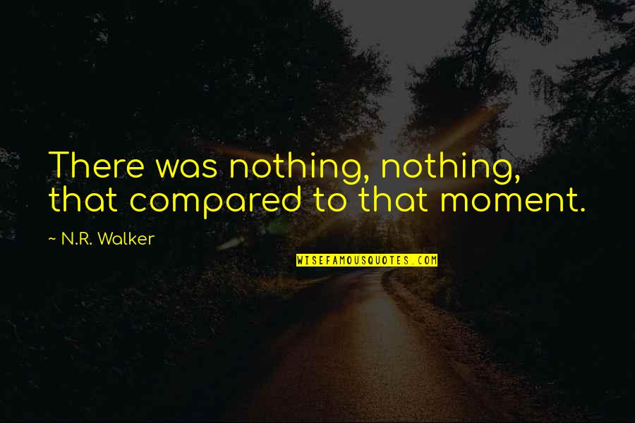 Finally Going Home Quotes By N.R. Walker: There was nothing, nothing, that compared to that