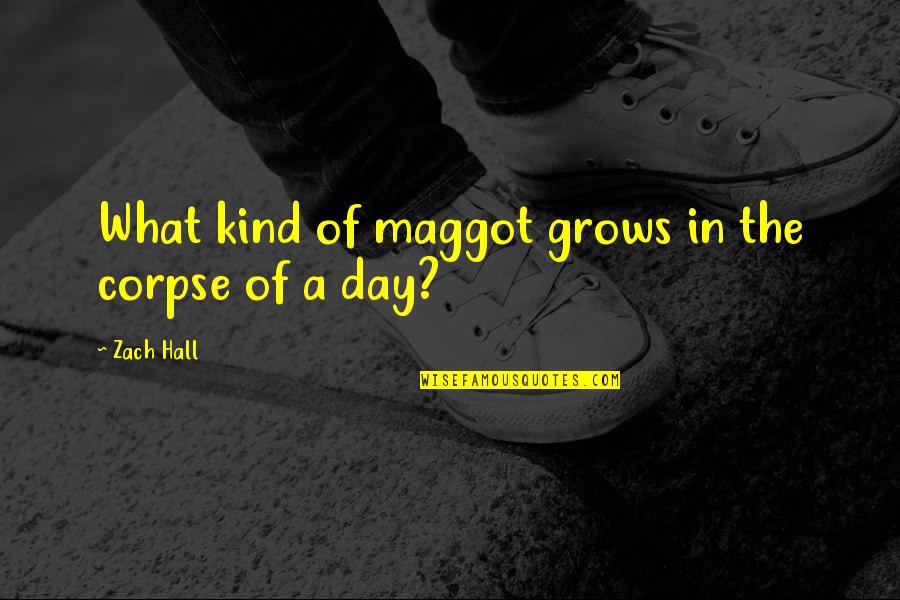 Finally True Love Quotes By Zach Hall: What kind of maggot grows in the corpse