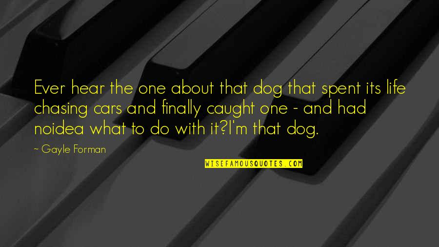 Finally We Are One Quotes By Gayle Forman: Ever hear the one about that dog that