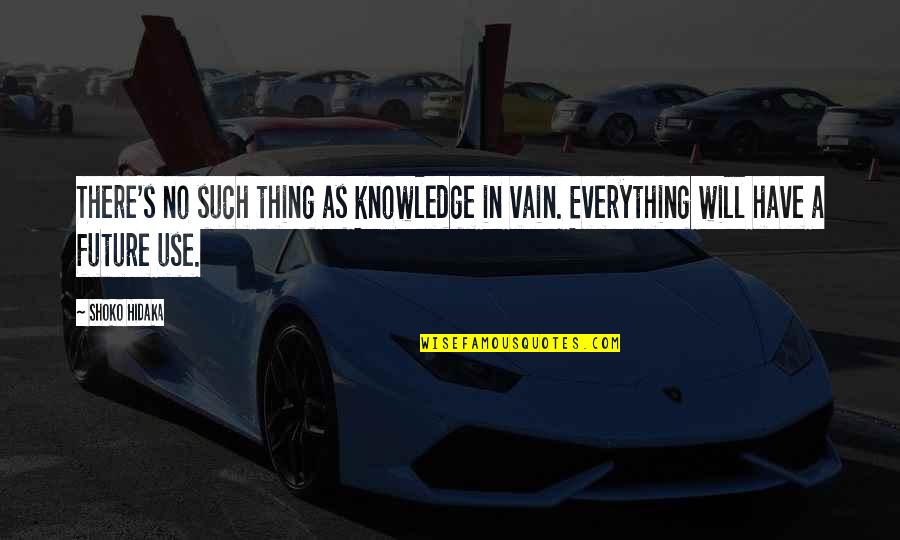 Finally We Meet Quotes By Shoko Hidaka: There's no such thing as knowledge in vain.