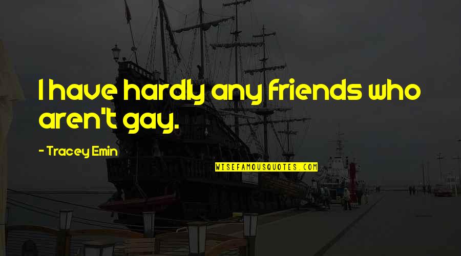 Financial Education Quotes By Tracey Emin: I have hardly any friends who aren't gay.