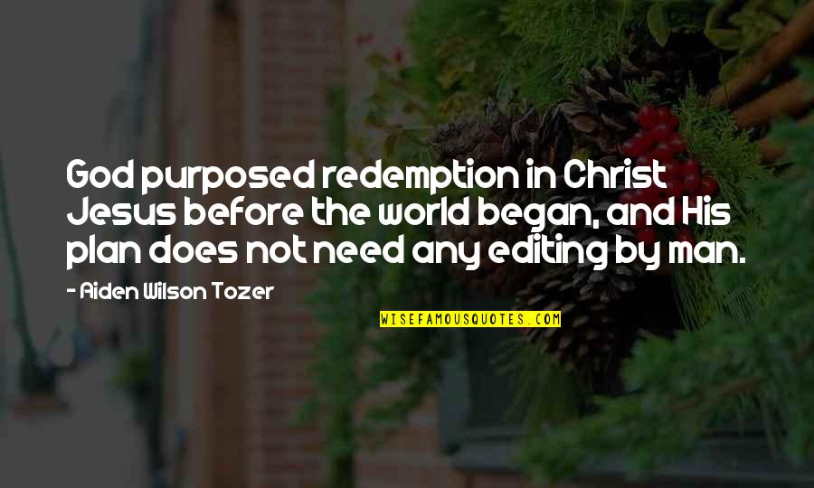 Financial Football Quotes By Aiden Wilson Tozer: God purposed redemption in Christ Jesus before the