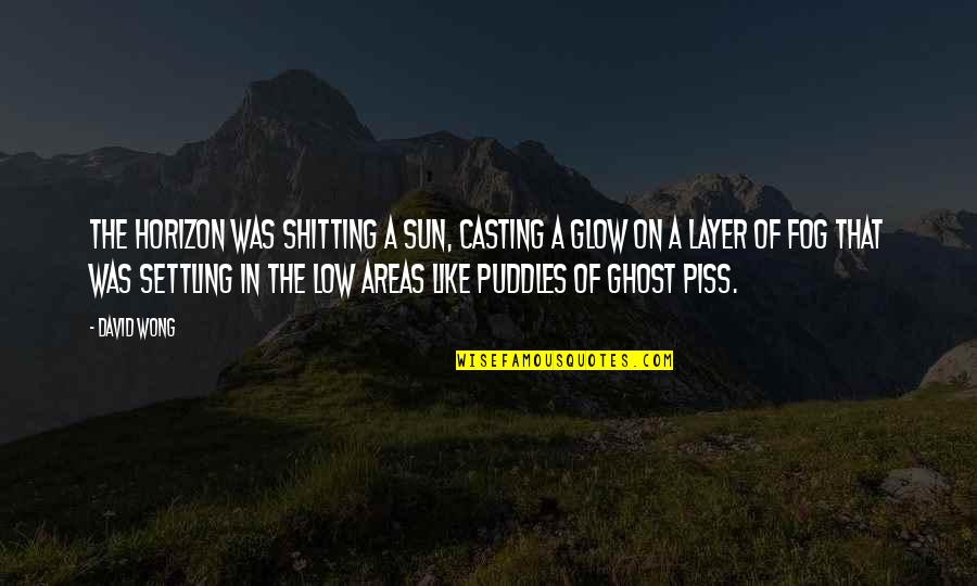 Financial Reporting Quotes By David Wong: The horizon was shitting a sun, casting a Financial Reporting Quotes By David Wong: The horizon was shitting a sun, casting a