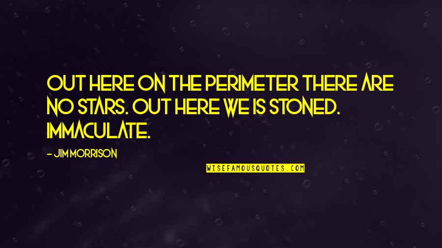 Financially Inspirational Quotes By Jim Morrison: Out here on the perimeter there are no