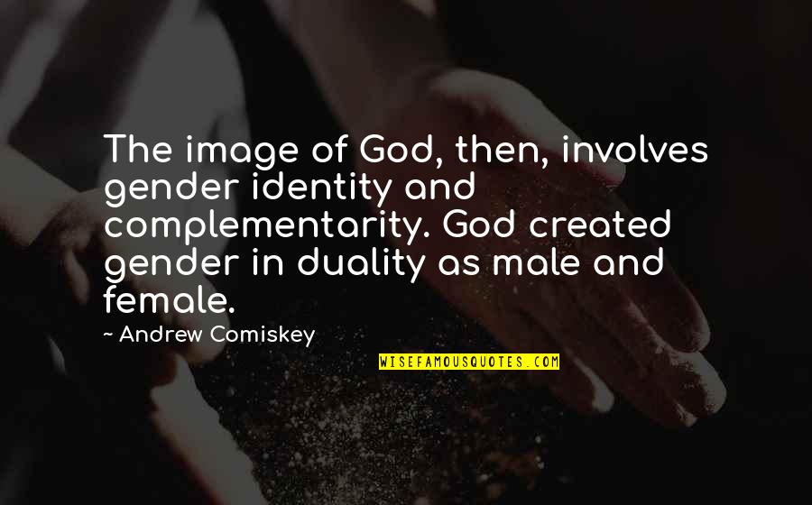 Financier Dreiser Quotes By Andrew Comiskey: The image of God, then, involves gender identity