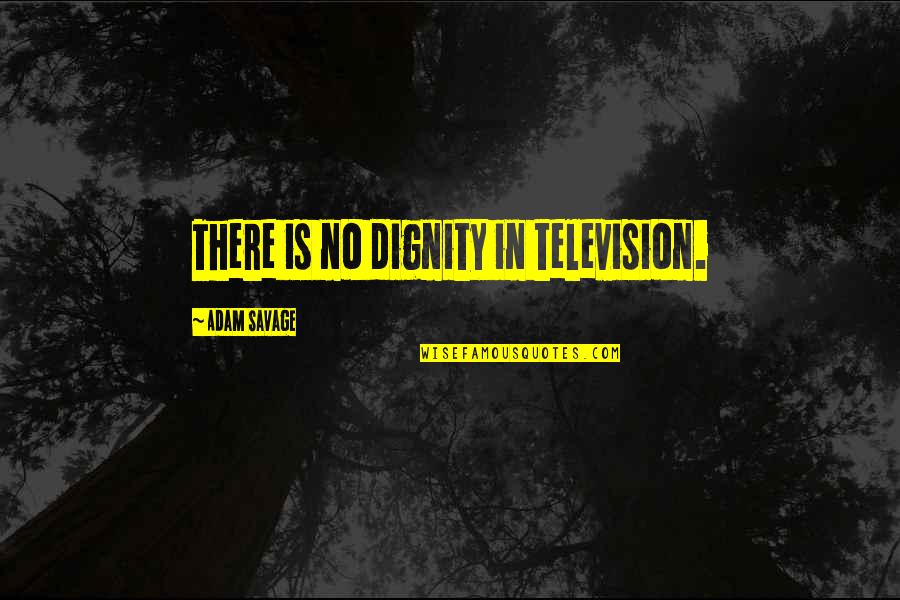 Finca Quotes By Adam Savage: There is no dignity in television. Finca Quotes By Adam Savage: There is no dignity in television.