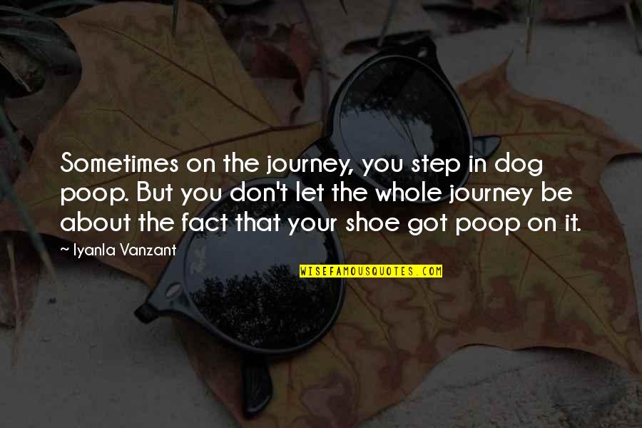 Find A Man That Treats You Right Quotes By Iyanla Vanzant: Sometimes on the journey, you step in dog