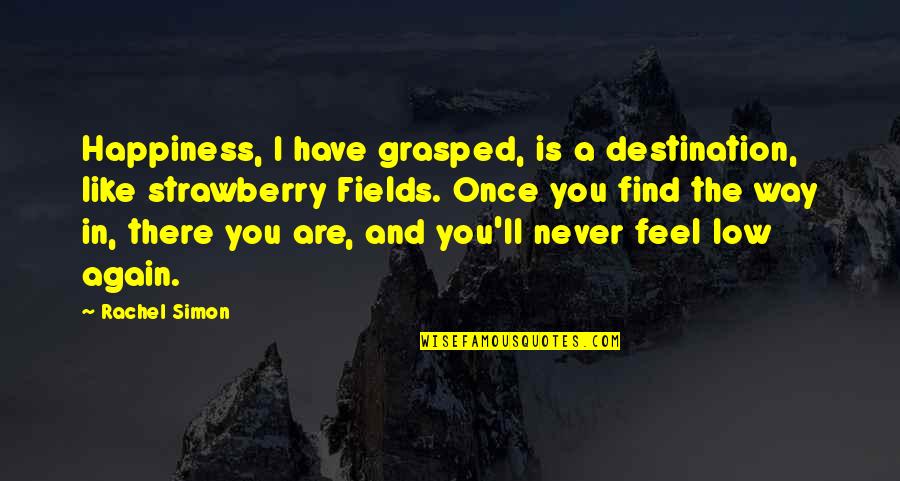Find Happiness Quotes By Rachel Simon: Happiness, I have grasped, is a destination, like