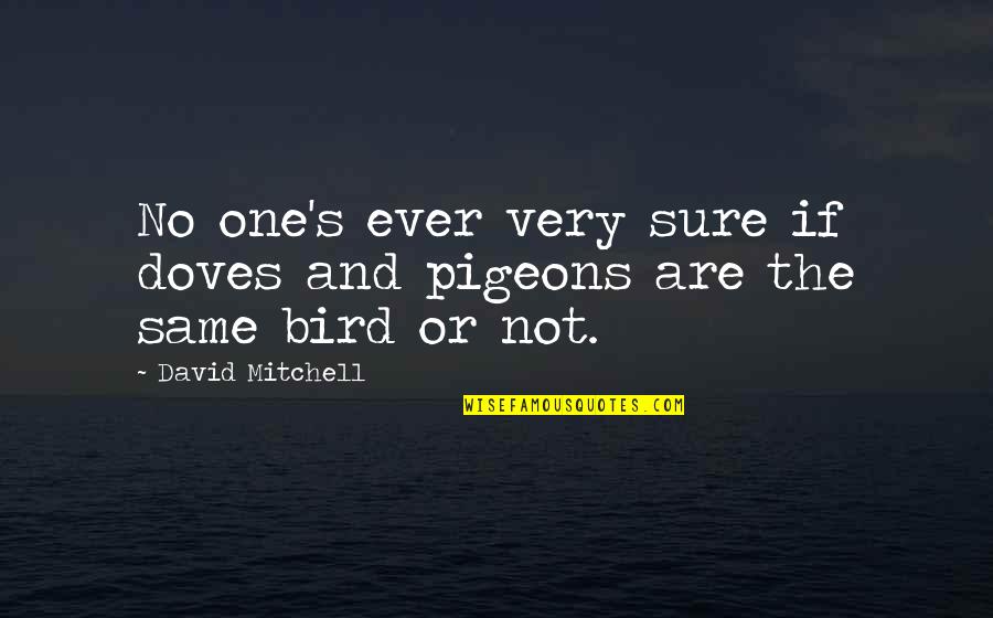 Find Hermes Quotes By David Mitchell: No one's ever very sure if doves and