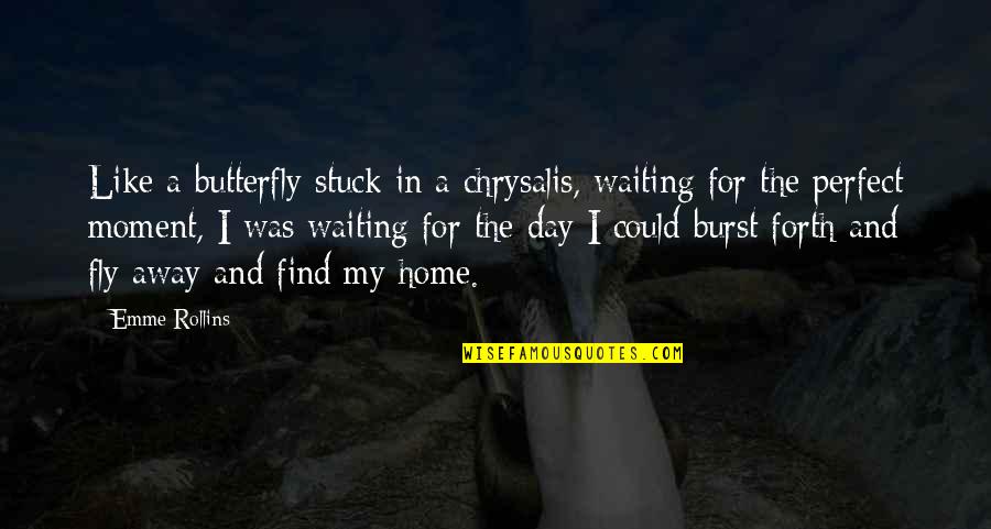 Find Home Quotes By Emme Rollins: Like a butterfly stuck in a chrysalis, waiting
