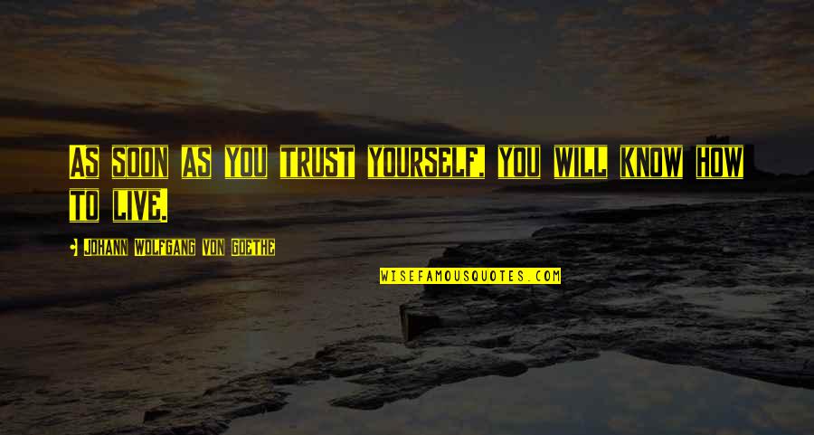 Find Joy Everyday Quotes By Johann Wolfgang Von Goethe: As soon as you trust yourself, you will