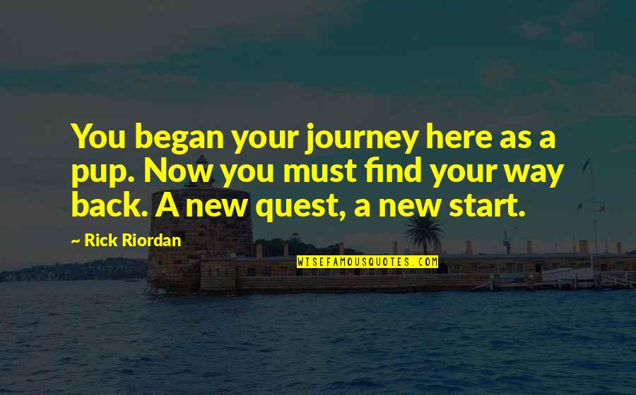 Find My Way Back Quotes By Rick Riordan: You began your journey here as a pup.