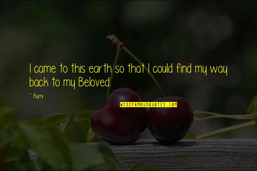 Find My Way Back Quotes By Rumi: I came to this earth so that I