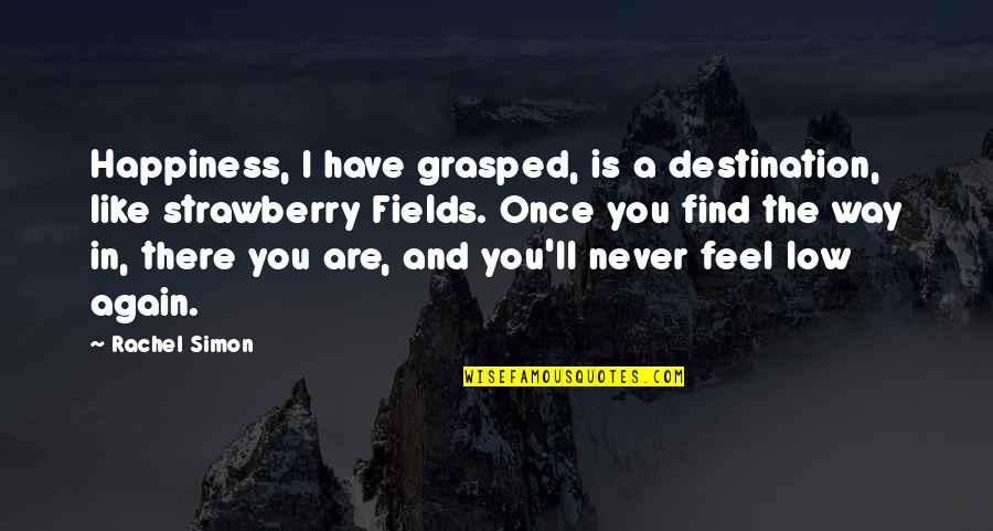 Find The Happiness Quotes By Rachel Simon: Happiness, I have grasped, is a destination, like