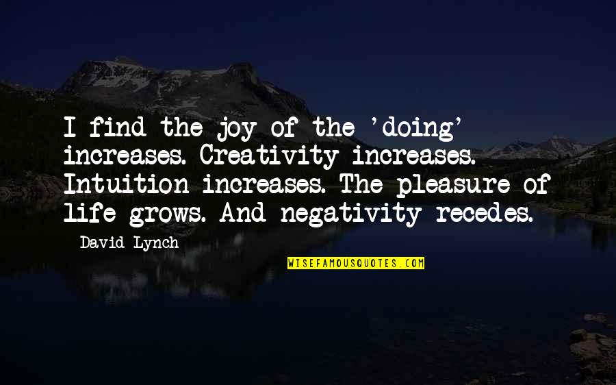 Find The Joy In Life Quotes By David Lynch: I find the joy of the 'doing' increases.