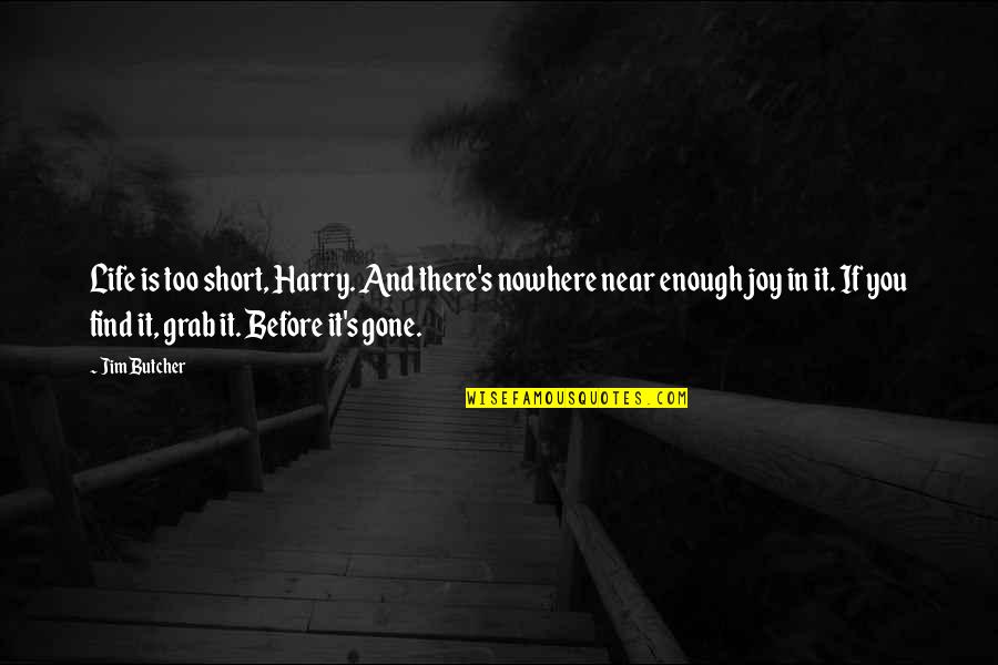 Find The Joy In Life Quotes By Jim Butcher: Life is too short, Harry. And there's nowhere