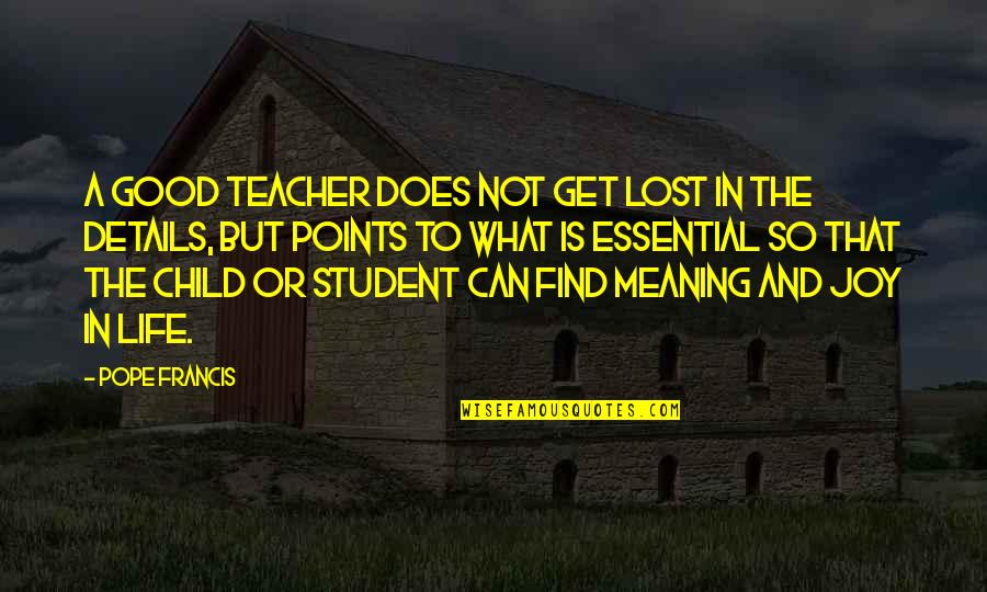 Find The Lost Quotes By Pope Francis: A good teacher does not get lost in