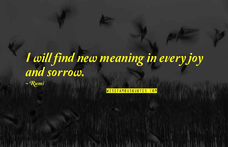 Find The Meaning Of A Quotes By Rumi: I will find new meaning in every joy