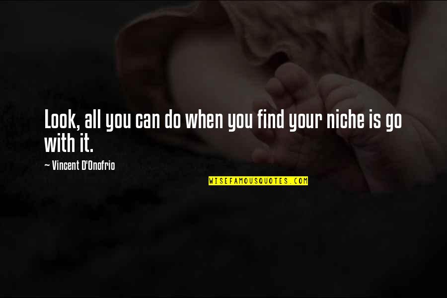 Find Your Niche Quotes By Vincent D'Onofrio: Look, all you can do when you find