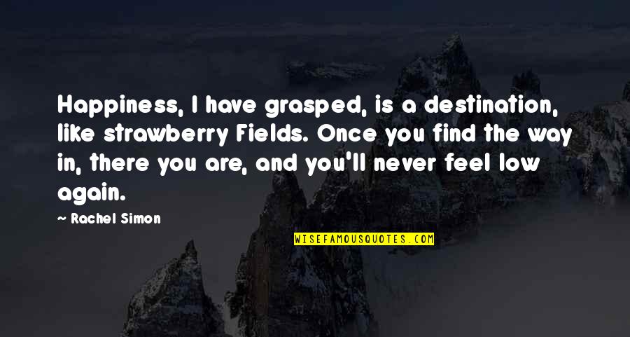 Find Your Own Happiness Quotes By Rachel Simon: Happiness, I have grasped, is a destination, like