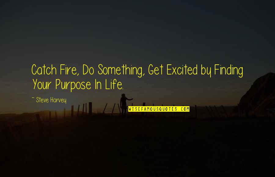 Finding A Purpose Quotes By Steve Harvey: Catch Fire, Do Something, Get Excited by Finding