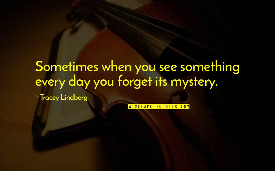 Finding Good In Everyone Quotes By Tracey Lindberg: Sometimes when you see something every day you